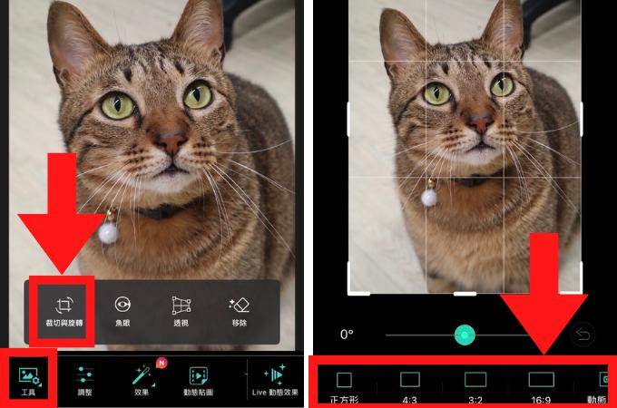 PHD調整照片比例教學